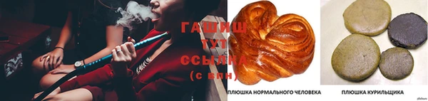 хмурый Алексин