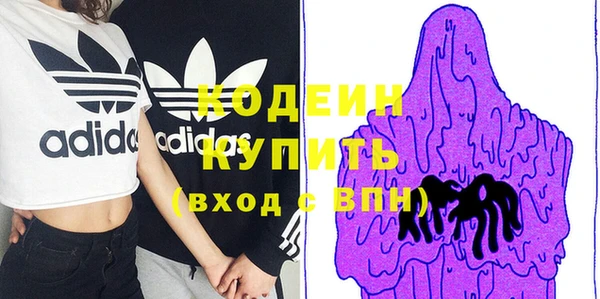 хмурый Алексин