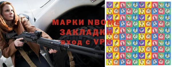 хмурый Алексин