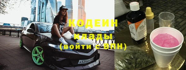 хмурый Алексин