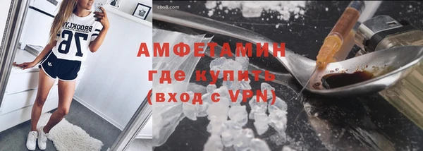 хмурый Алексин