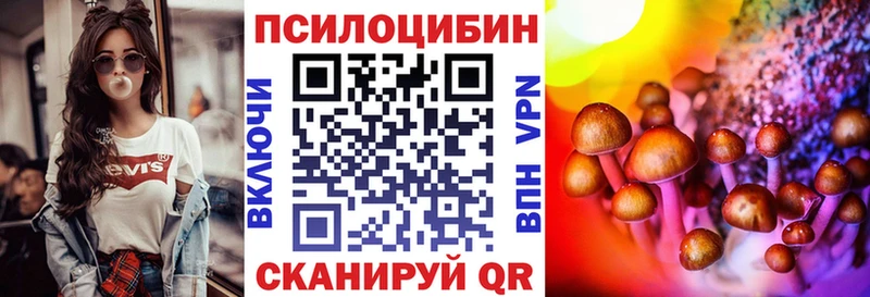 закладки Алексеевка KRAKEN ONION Псилоцибиновые грибы прущие грибы