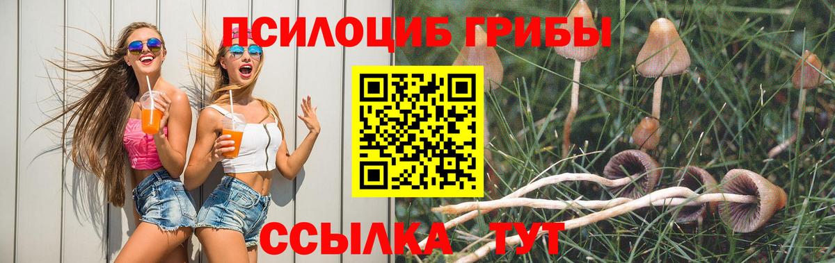 Галлюциногенные грибы GOLDEN TEACHER  Вход с VPN  Алексеевка  Псилоцибиновые грибы Magic Shrooms 