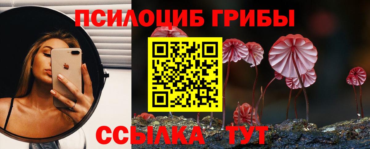 Псилоцибиновые грибы мухоморы Алексеевка